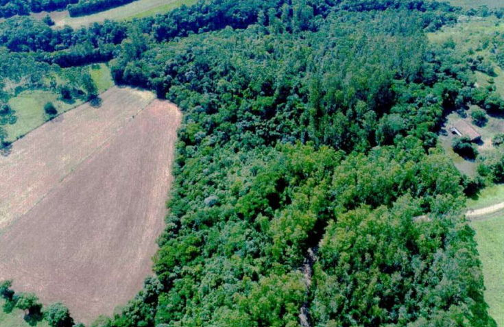 Área De 7,5 Ha / Tunápolis - Sc, localizado em Tunápolis - SC