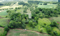 Área De 3has / Dentro De Área Maior / Pirapó - Rs, localizado em Pirapó - RS