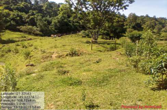 Área Rural De 12,500 Ha / Braço Do Trombudo - Sc, localizado em Braço Do Trombudo - SC, bairro Ribeirão Vitória