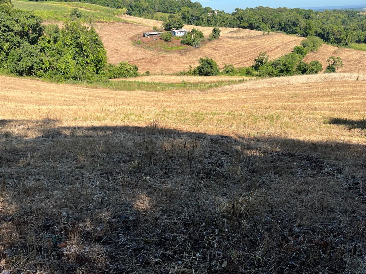 Área De 2 Ha / Dentro De Área Maior / Horizontina - Rs, localizado em Horizontina - RS