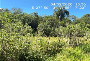 Área De 3has / Dentro De Área Maior / Pirapó - Rs, localizado em Pirapó - RS