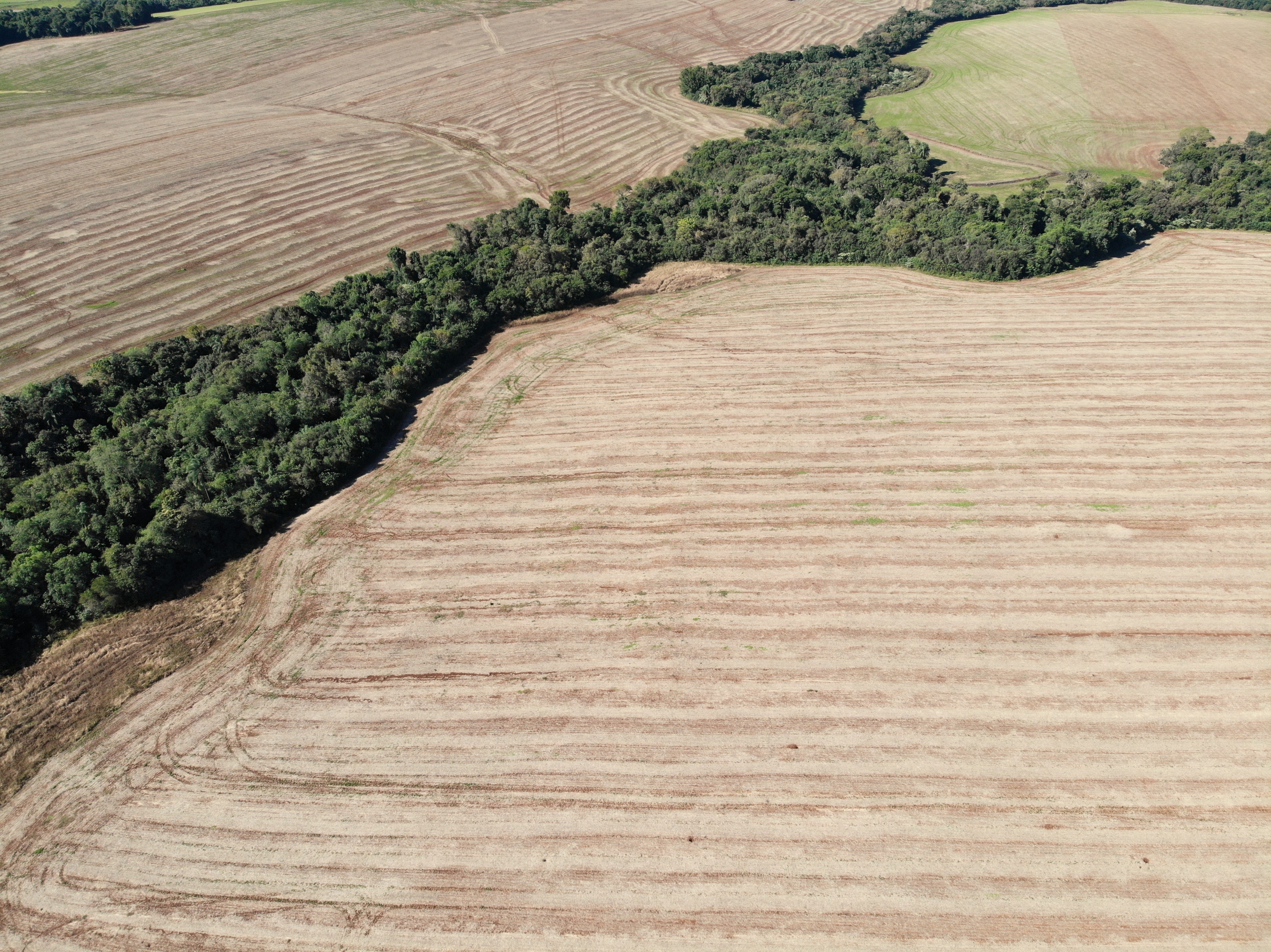 Área Rural De 12,00has / São Miguel Das Missões - Rs, localizado em São Miguel Das Missões - RS