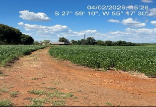Área De 3has / Dentro De Área Maior / Pirapó - Rs, localizado em Pirapó - RS
