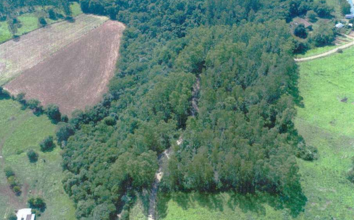 Área De 7,5 Ha / Tunápolis - Sc, localizado em Tunápolis - SC