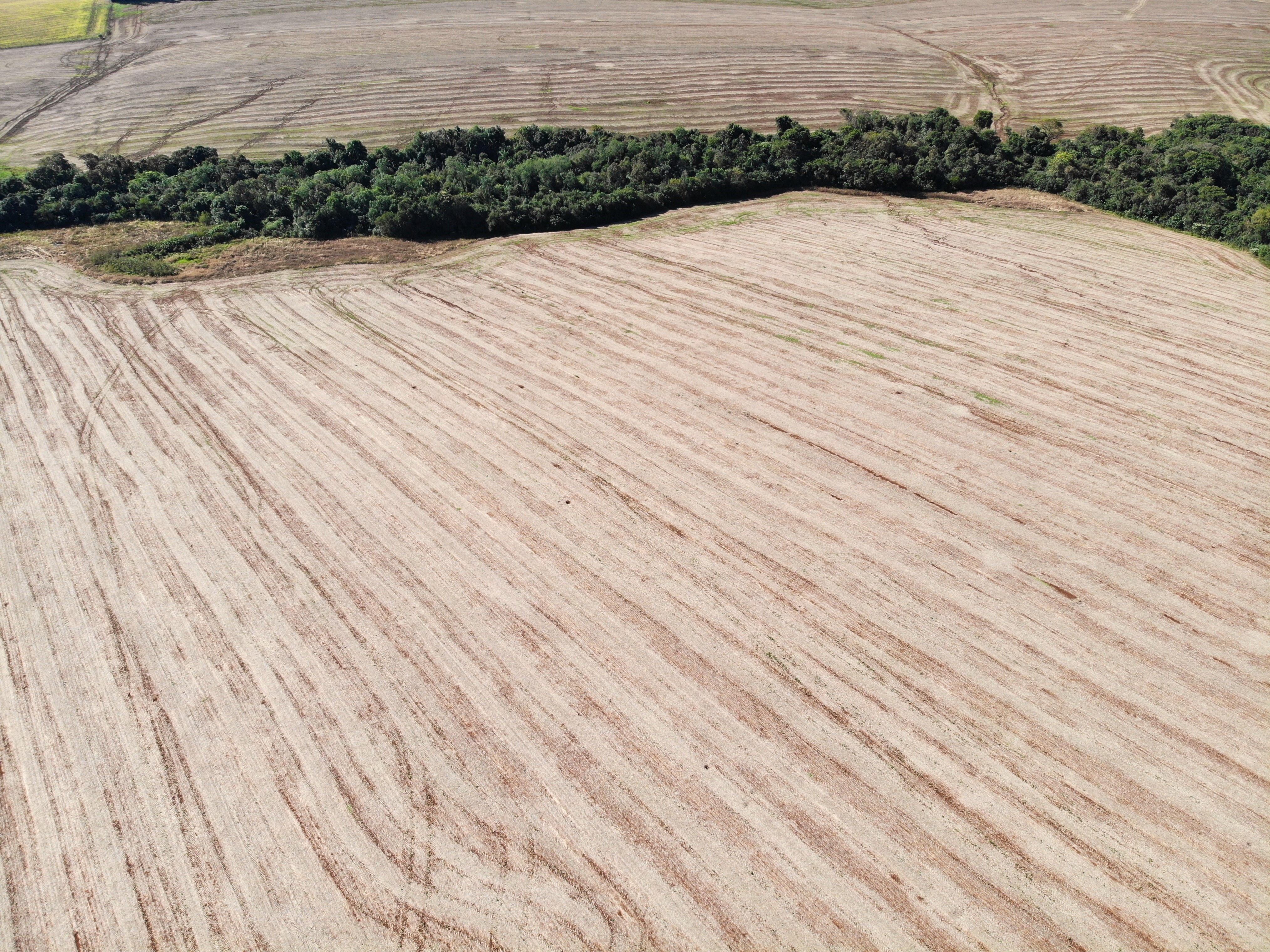 Área Rural De 12,00has / São Miguel Das Missões - Rs, localizado em São Miguel Das Missões - RS