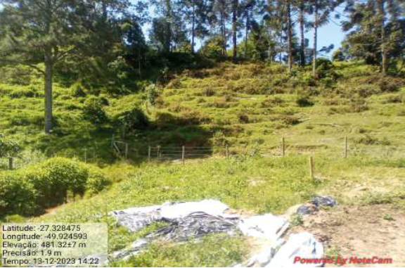 Área Rural De 12,500 Ha / Braço Do Trombudo - Sc, localizado em Braço Do Trombudo - SC, bairro Ribeirão Vitória