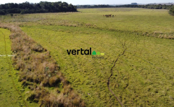 Área De 3has / Dentro De Área Maior / Pirapó - Rs, localizado em Pirapó - RS
