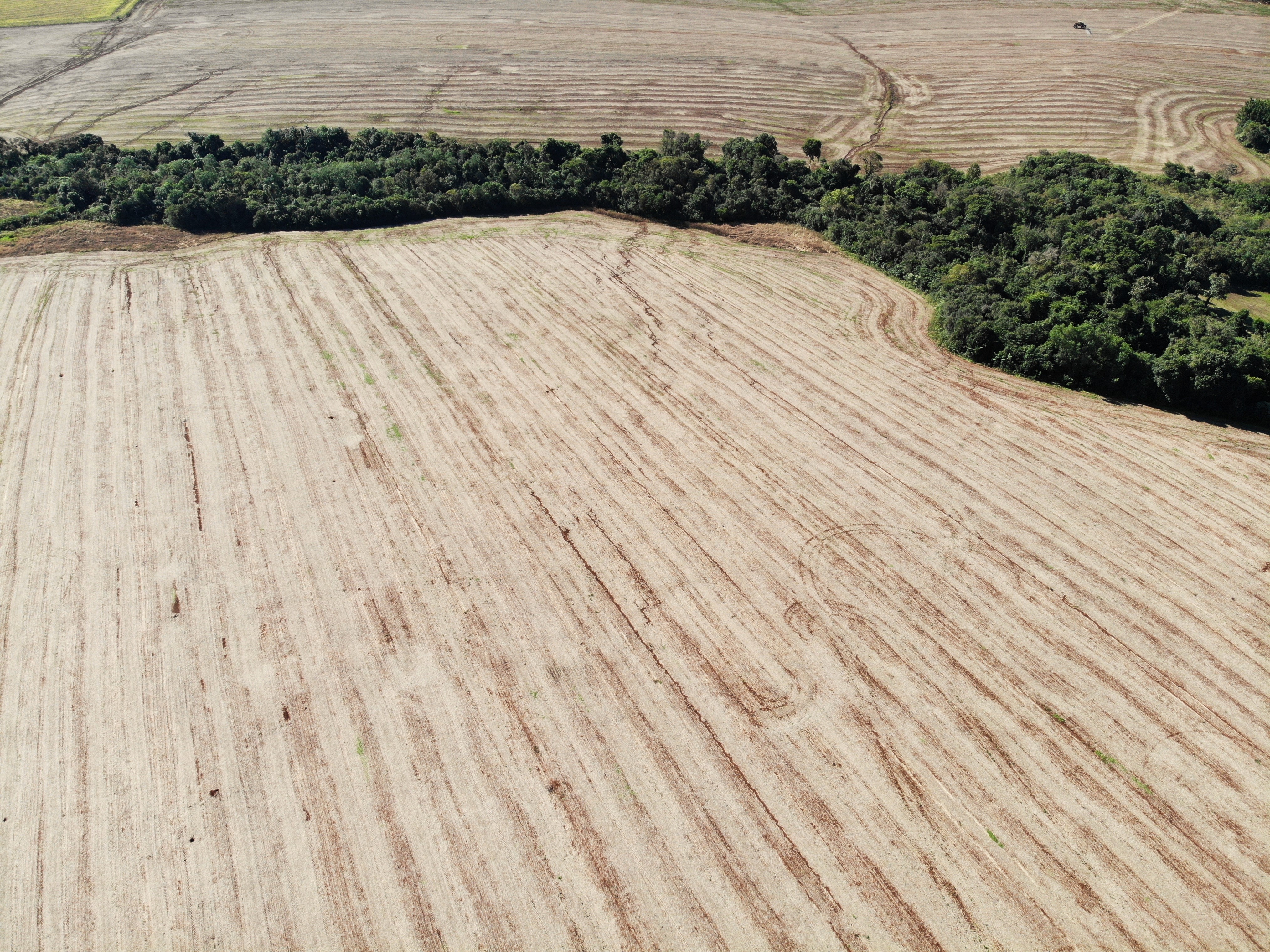 Área Rural De 12,00has / São Miguel Das Missões - Rs, localizado em São Miguel Das Missões - RS