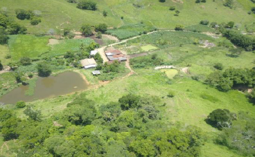 Área Rural De 10 Ha / Bom Jesus Do Itabapoana - Rj, localizado em Bom Jesus Do Itabapoana - RJ