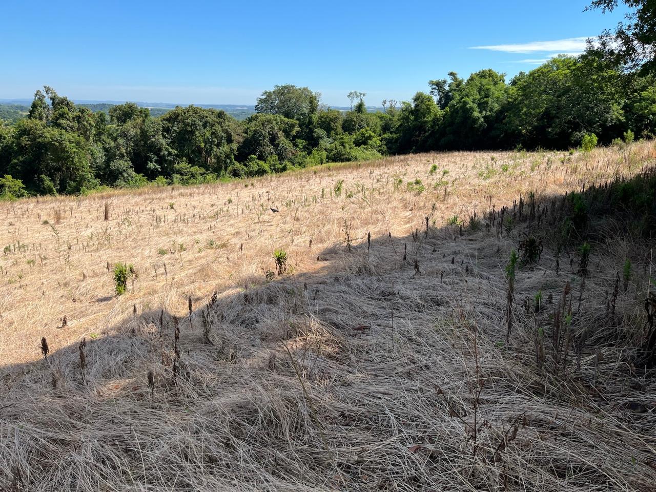 Área De 2 Ha / Dentro De Área Maior / Horizontina - Rs, localizado em Horizontina - RS