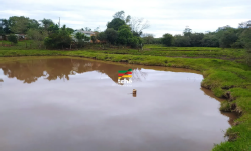Área De 3has / Dentro De Área Maior / Pirapó - Rs, localizado em Pirapó - RS