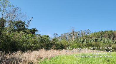 Área Rural De 109.806,34m² / Serra Alta - Sc, localizado em Serra Alta - SC