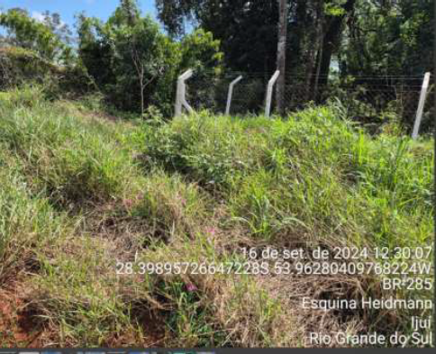 Terreno Rural C/ 15.750m² + Benfeitorias Não Averbadas / Ijuí - Rs, localizado em Ijuí - RS