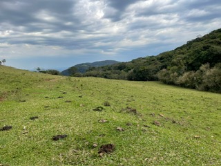 Imóvel Rural Com Área De 2,85 Ha, localizado em Silveira Martins - RS