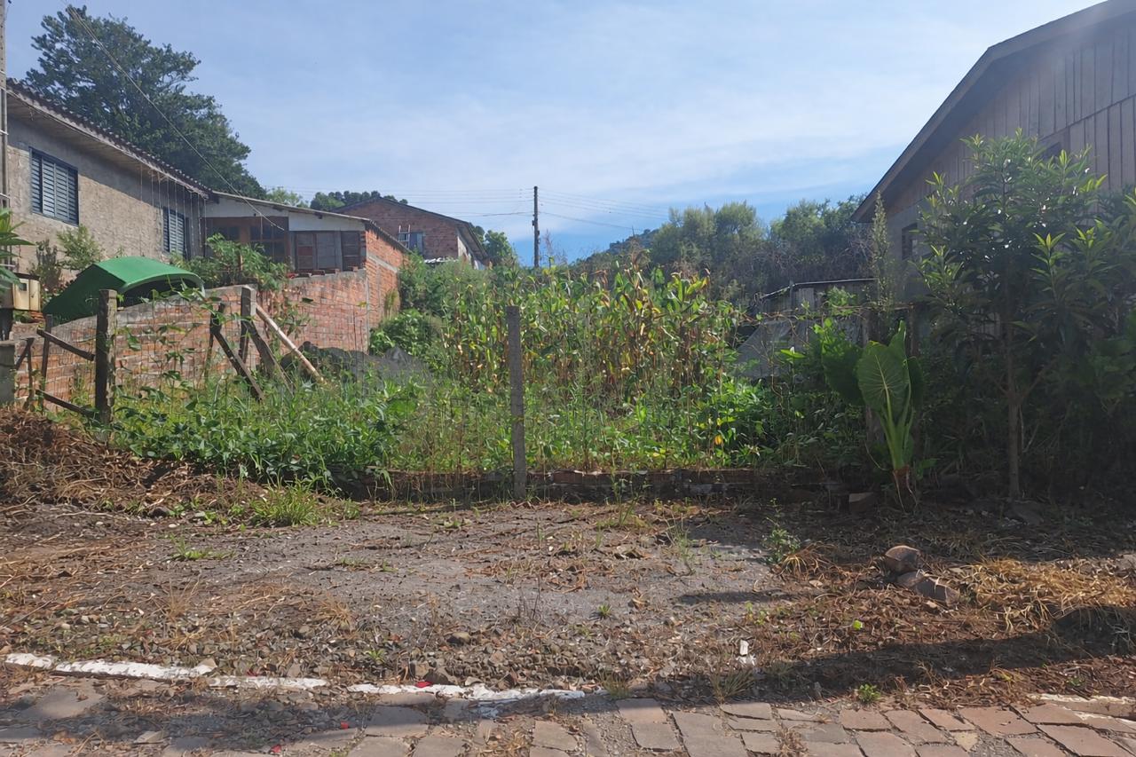Lote Urbano C/ 228,80m² / São Domingos Do Sul - Rs, localizado em São Domingos Do Sul - RS, bairro Loteamento Quatipi
