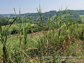Terreno Rural C/ 26.000,00m²/ Coronel Freitas - Sc., localizado em Coronel Freitas - SC
