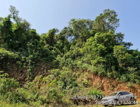 Terreno Rural C/ 26.000,00m²/ Coronel Freitas - Sc., localizado em Coronel Freitas - SC