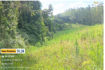 Terreno Rural C/ 12,146 Ha/ Trombudo Central- Sc, localizado em Trombudo Central - SC