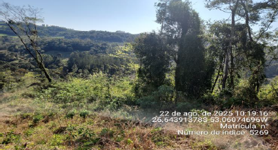 Área Rural De 109.806,34m² / Serra Alta - Sc, localizado em Serra Alta - SC