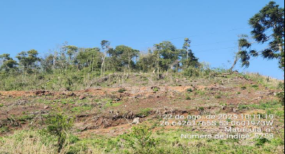 Área Rural De 109.806,34m² / Serra Alta - Sc, localizado em Serra Alta - SC