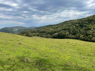 Imóvel Rural Com Área De 2,85 Ha, localizado em Silveira Martins - RS