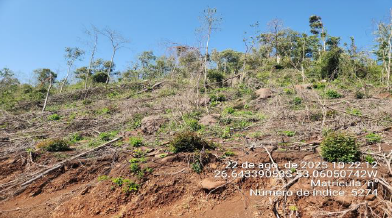 Área Rural De 109.806,34m² / Serra Alta - Sc, localizado em Serra Alta - SC
