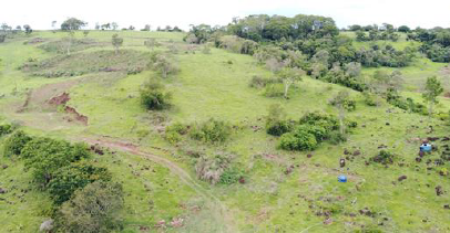 Terreno Rural C/ 22, 1728 (has) +benfeitorias Não Averbadas/ Missal- Pr, localizado em Missal - PR