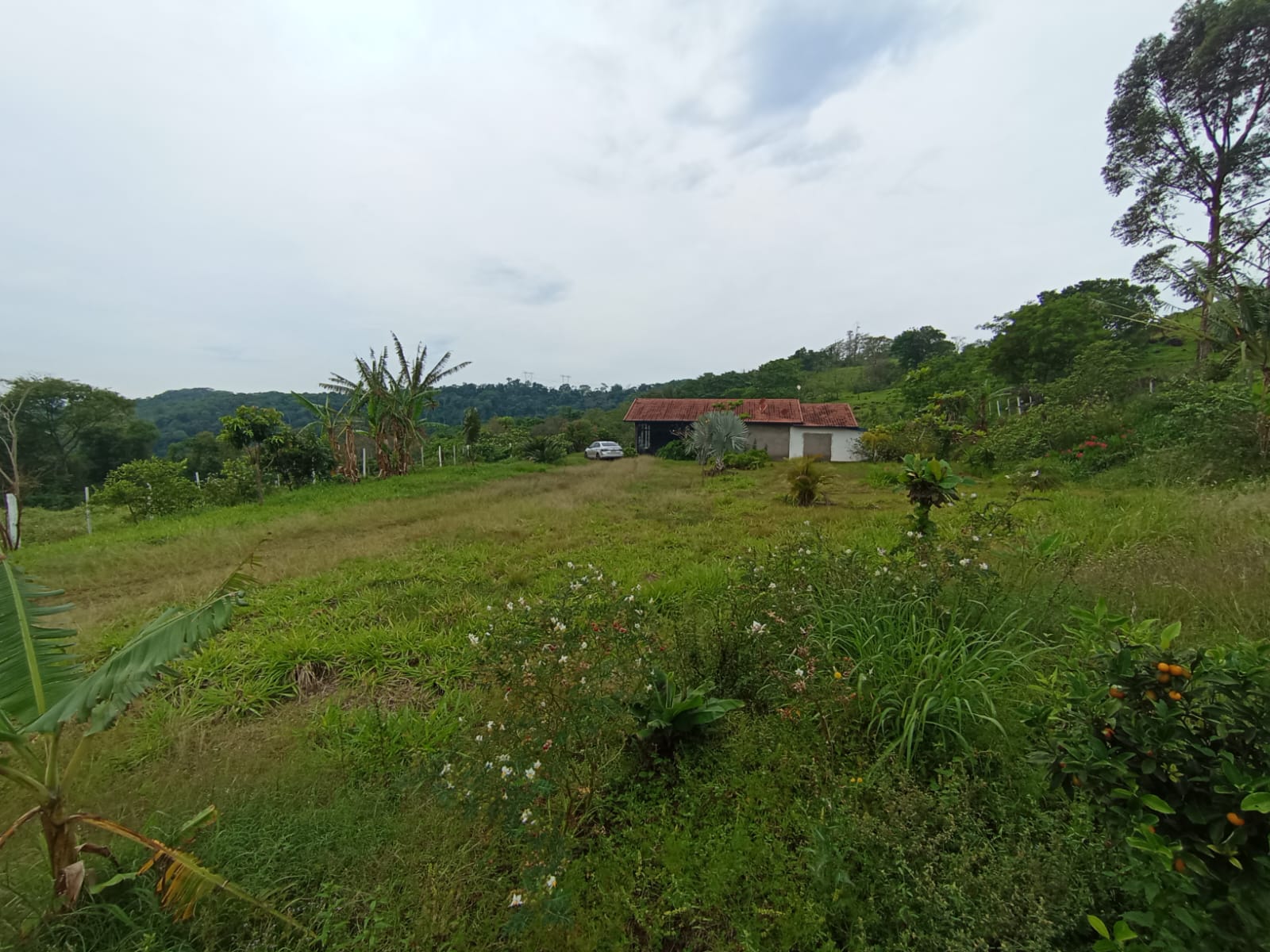 Terreno Rural C/ 22, 1728 (has) +benfeitorias Não Averbadas/ Missal- Pr, localizado em Missal - PR