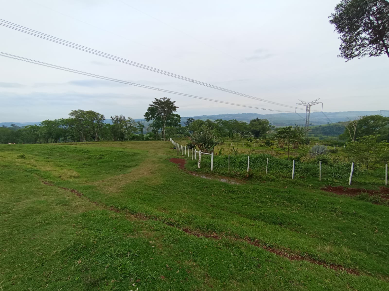 Terreno Rural C/ 22, 1728 (has) +benfeitorias Não Averbadas/ Missal- Pr, localizado em Missal - PR