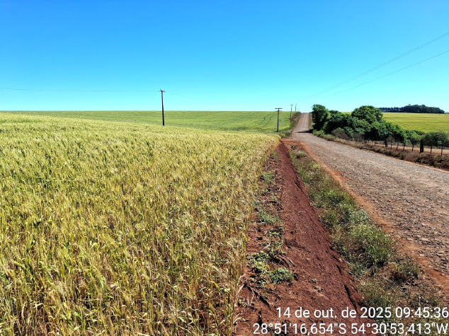 Área Rural C/ 6 Has/ São Miguel Das Missões- Rs, localizado em São Miguel Das Missões - RS