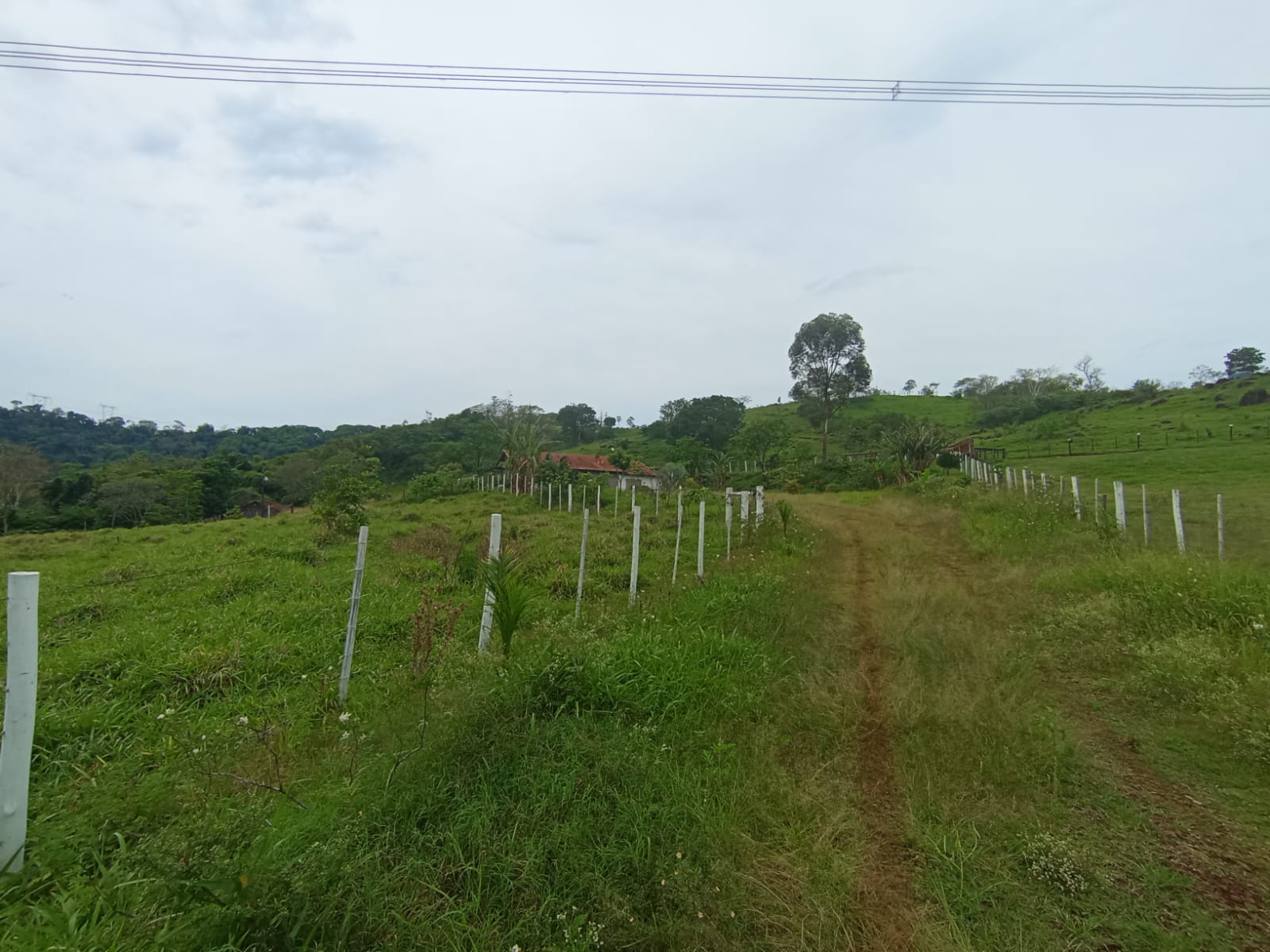 Terreno Rural C/ 22, 1728 (has) +benfeitorias Não Averbadas/ Missal- Pr, localizado em Missal - PR