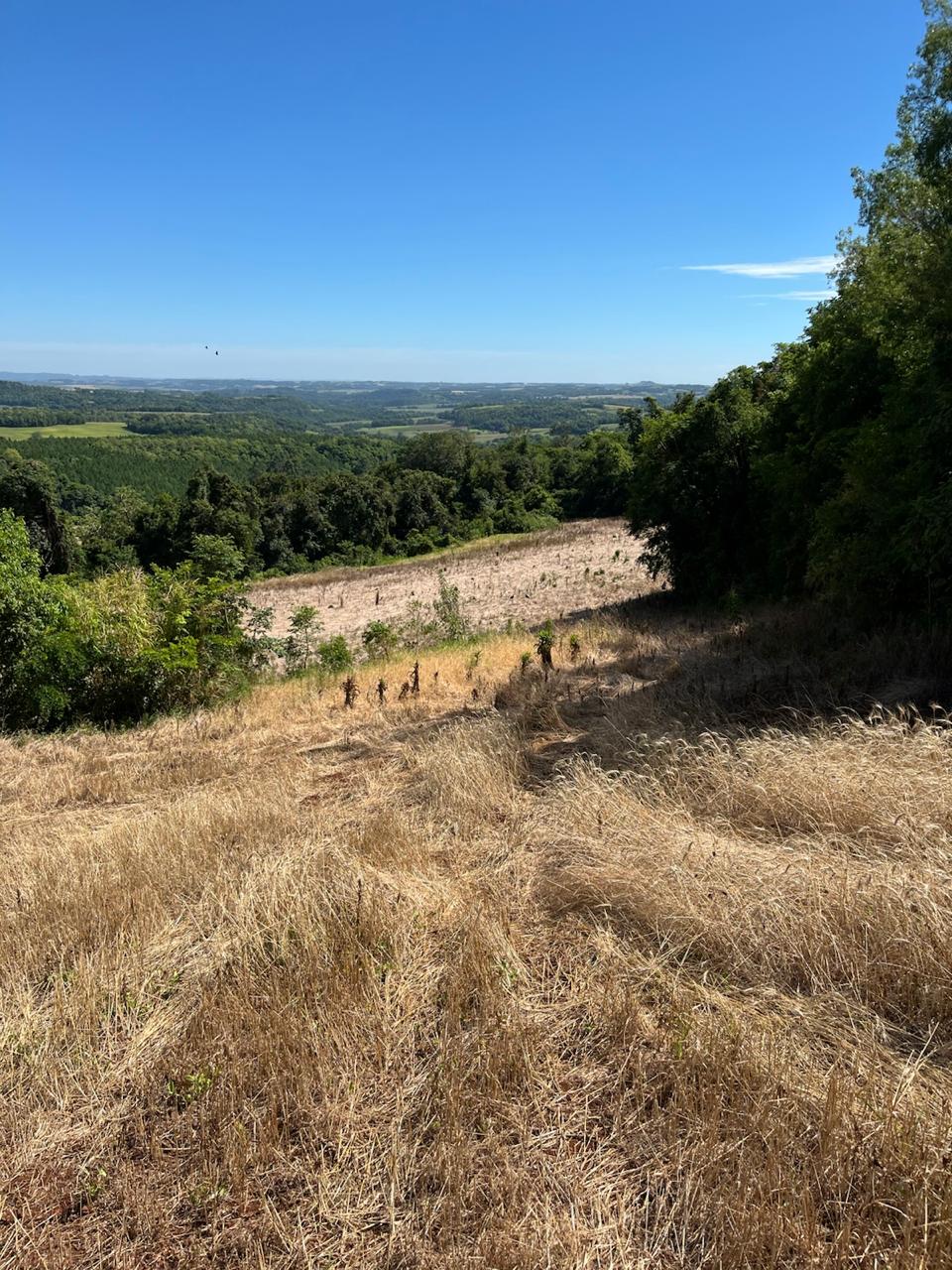Área Rural C/ 2 Ha / Horizontina - Rs, localizado em Horizontina - RS