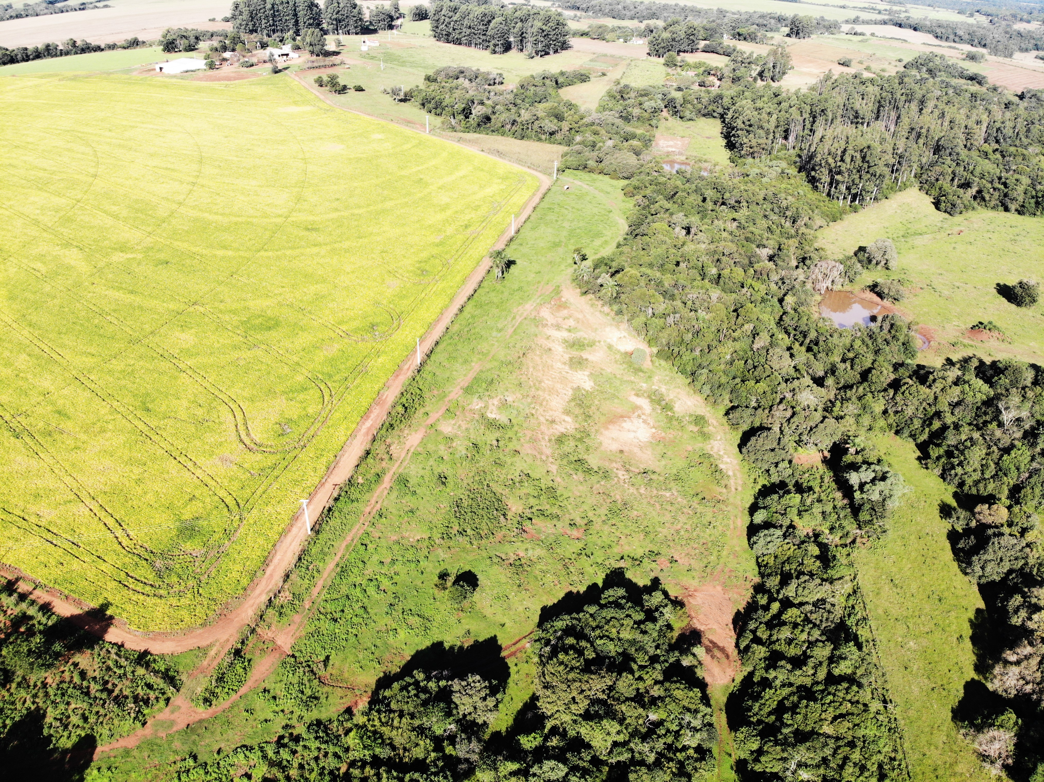 Área Rural C/ 10,226has / São Miguel Das Missões - Rs, localizado em São Miguel Das Missões - RS