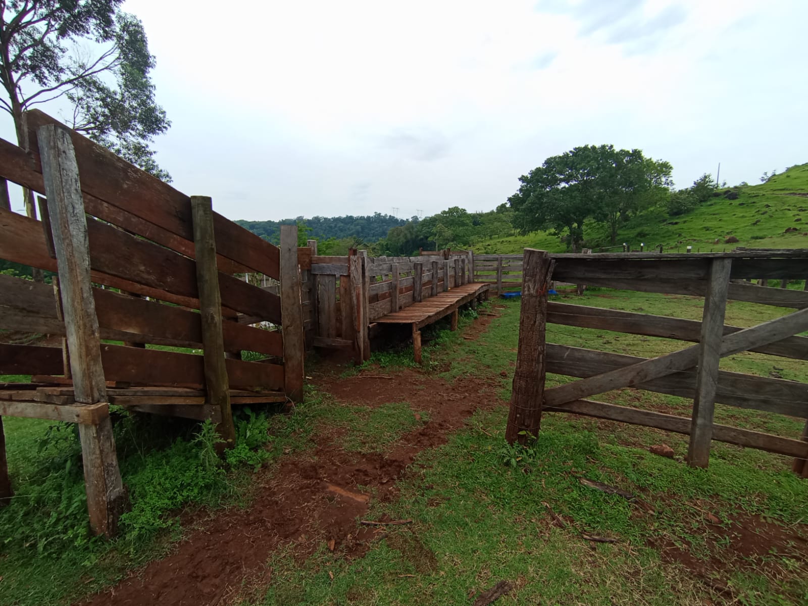 Terreno Rural C/ 22, 1728 (has) +benfeitorias Não Averbadas/ Missal- Pr, localizado em Missal - PR