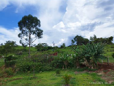 Terreno Rural C/ 22, 1728 (has) +benfeitorias Não Averbadas/ Missal- Pr, localizado em Missal - PR