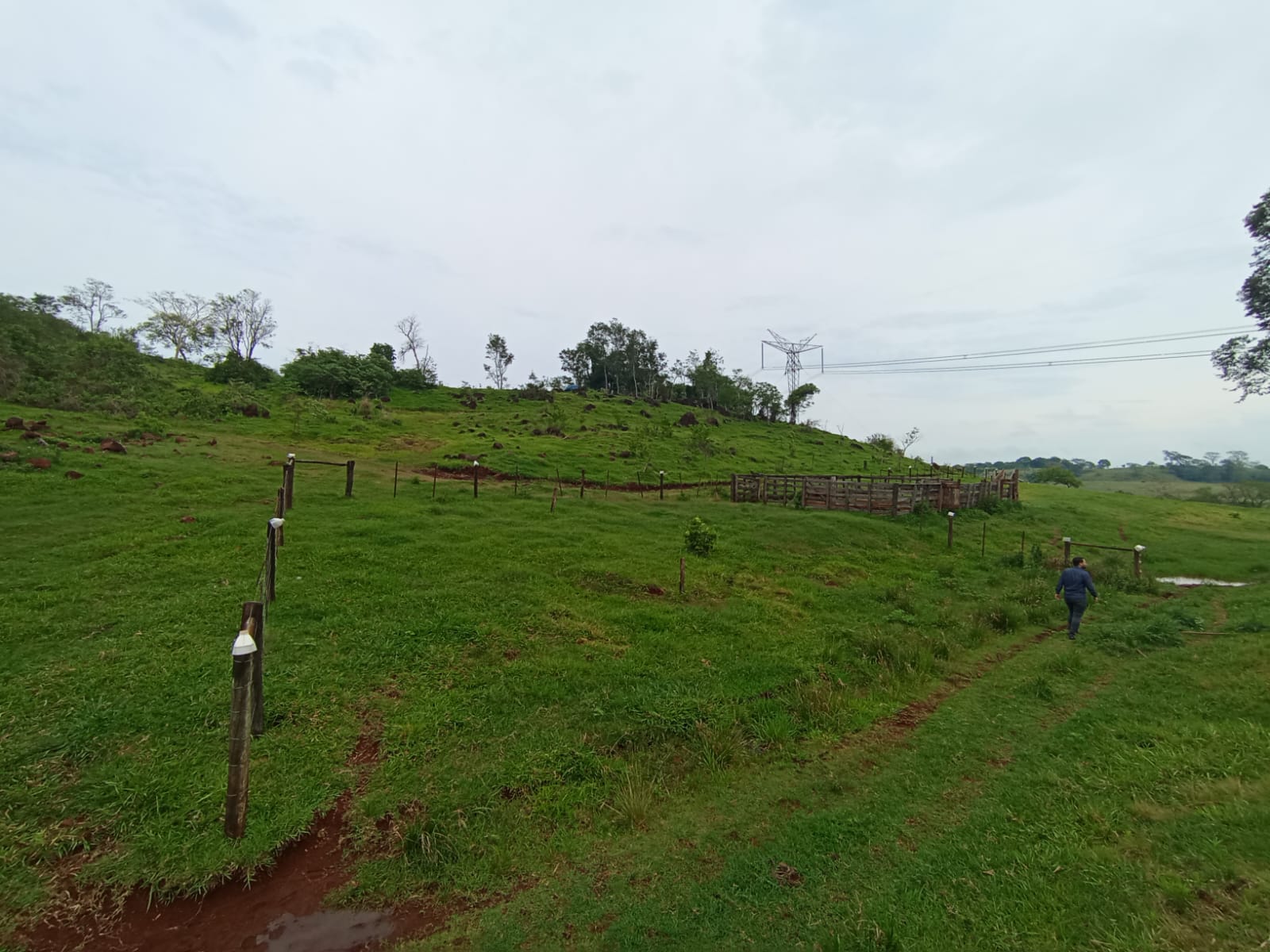 Terreno Rural C/ 22, 1728 (has) +benfeitorias Não Averbadas/ Missal- Pr, localizado em Missal - PR