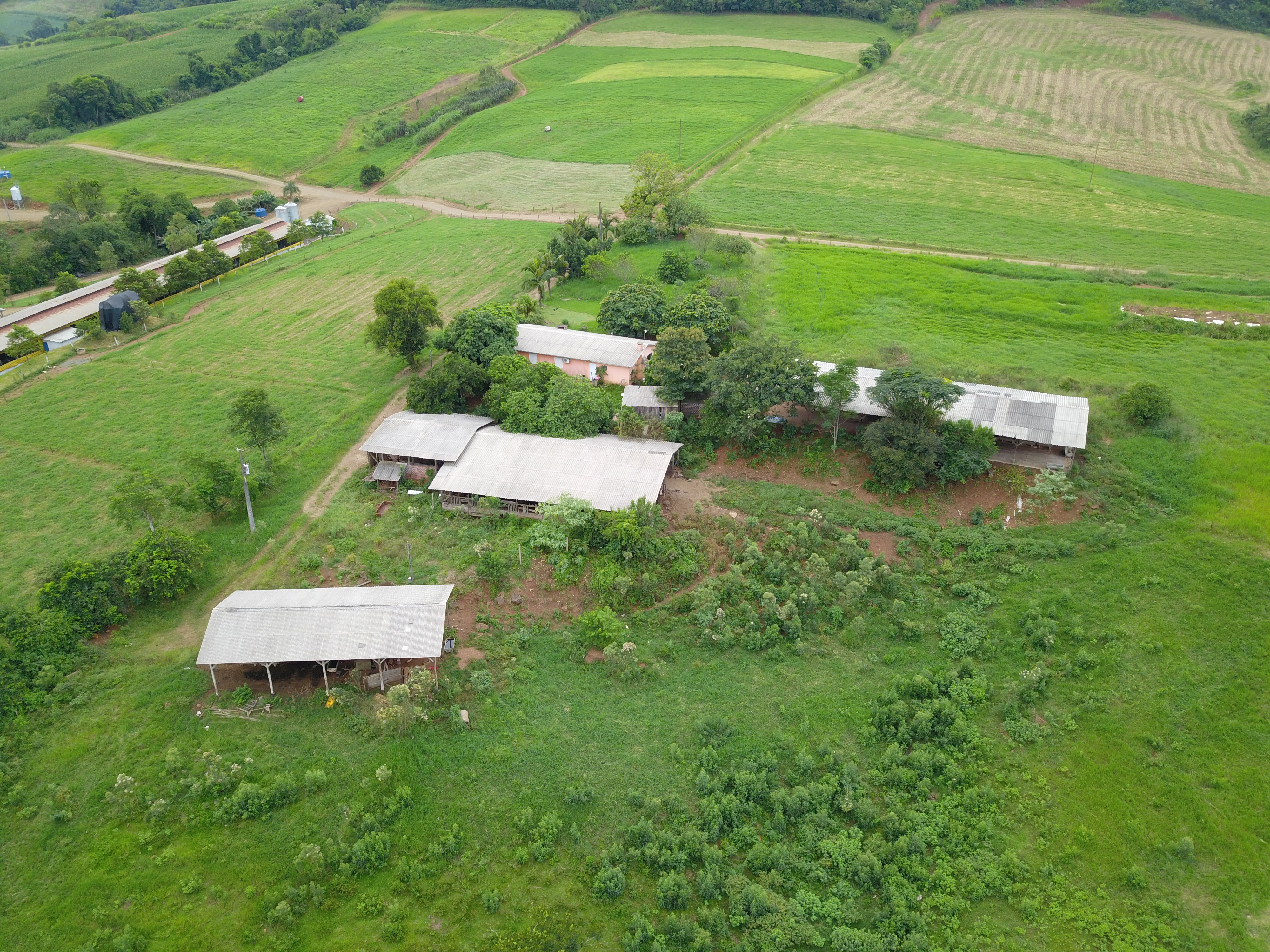 Área Rural C/ 6 Hec - Itapiranga / Sc, localizado em Itapiranga - SC