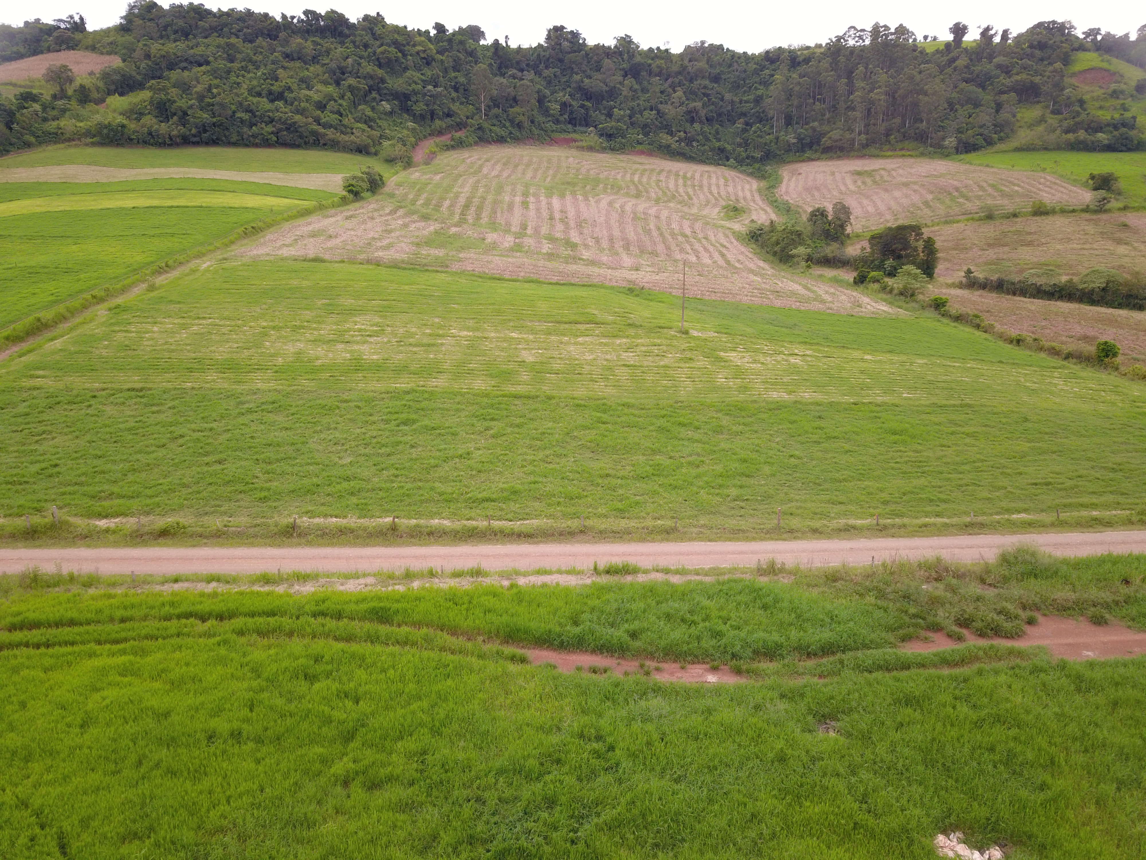 Área Rural C/ 6 Hec - Itapiranga / Sc, localizado em Itapiranga - SC