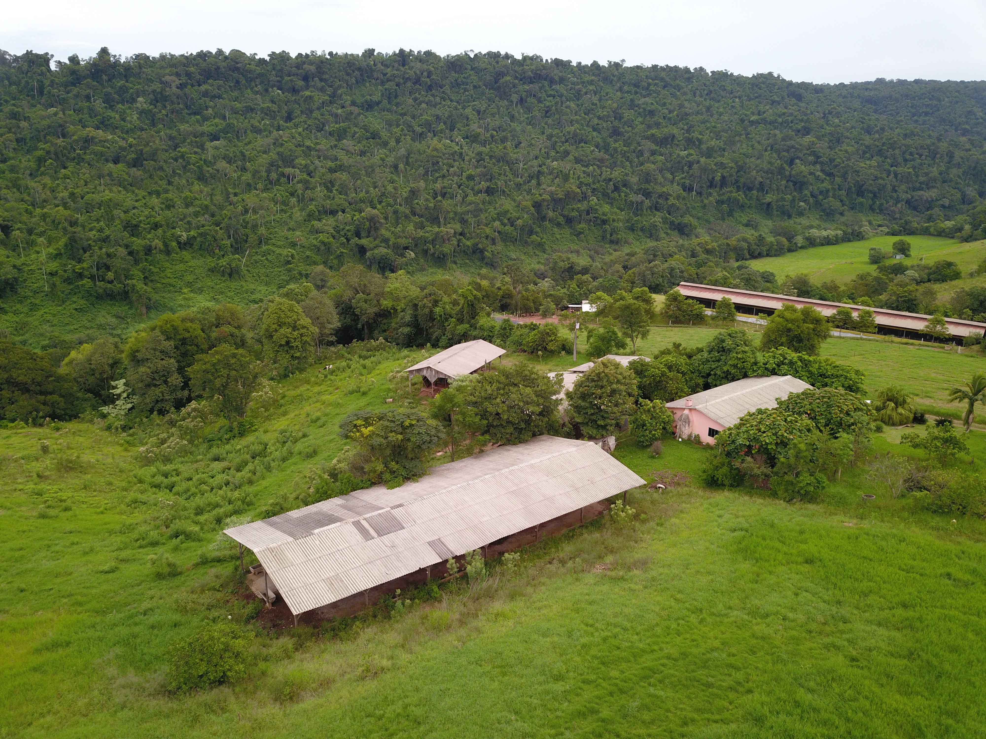Área Rural C/ 6 Hec - Itapiranga / Sc, localizado em Itapiranga - SC