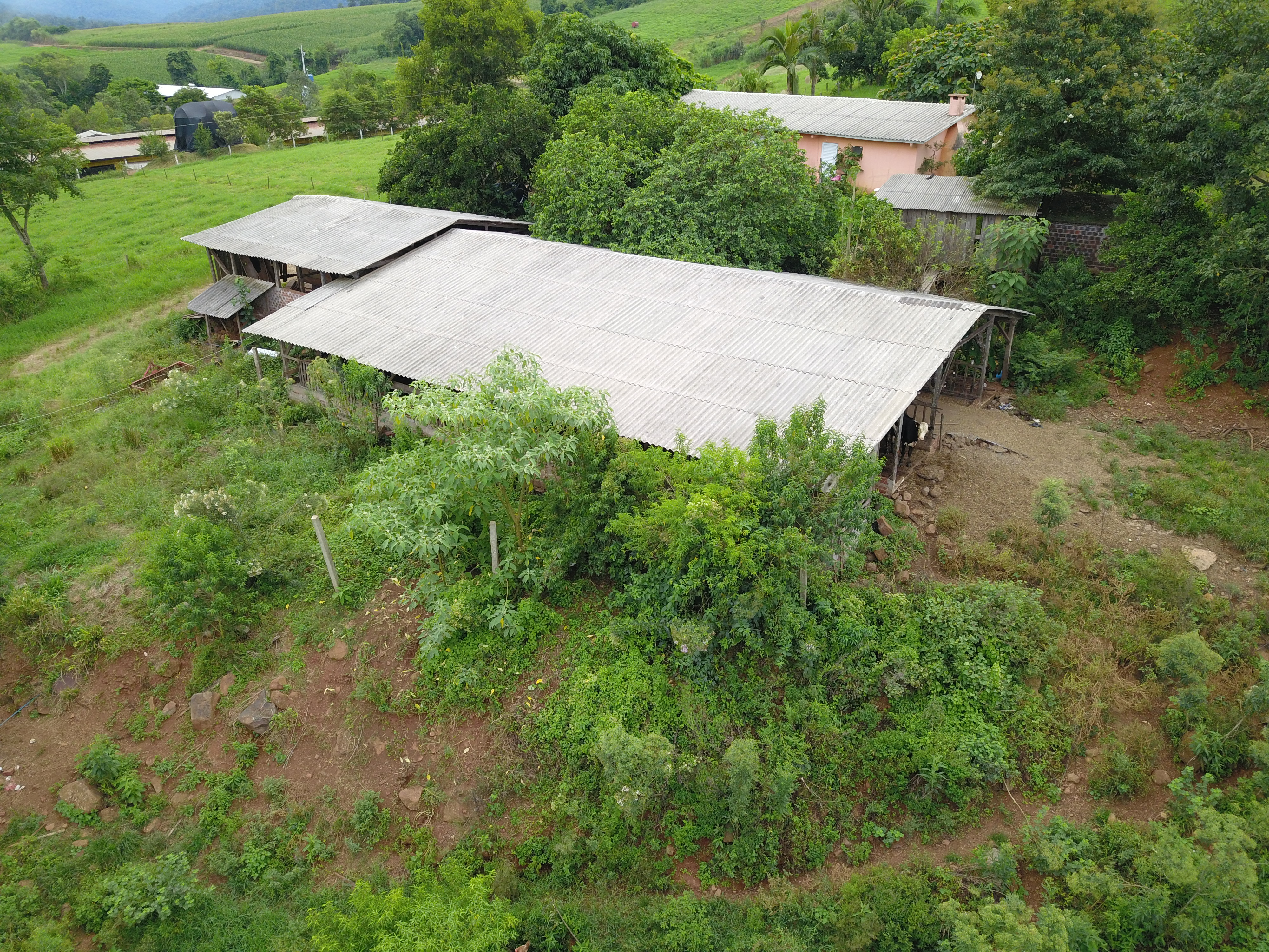 Área Rural C/ 6 Hec - Itapiranga / Sc, localizado em Itapiranga - SC