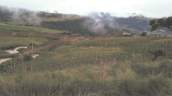 Área Rural C / 4,7hec - Alfredo Wagner - Sc, localizado em Alfredo Wagner - SC