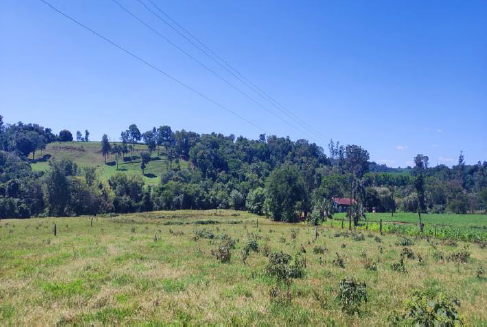 Área Rural C/ 15 Hec - Medianeira / Pr, localizado em Medianeira - PR