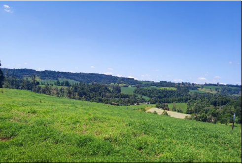 Área Rural C/ 15 Hec - Medianeira / Pr, localizado em Medianeira - PR