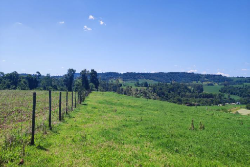 Área Rural C/ 15 Hec - Medianeira / Pr, localizado em Medianeira - PR