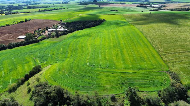 Área Rural C/ 11,9 Hectares - Espumoso/rs, localizado em Espumoso - RS