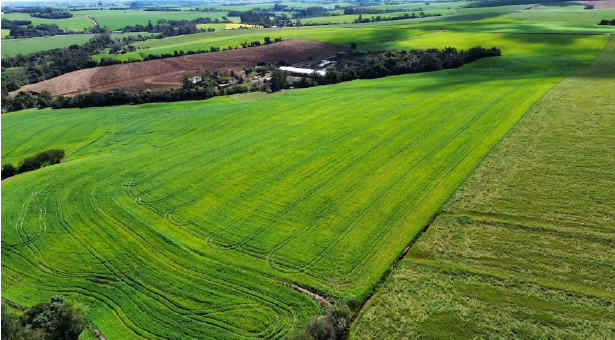 Área Rural C/ 11,9 Hectares - Espumoso/rs, localizado em Espumoso - RS