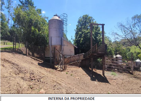 Área Rural C/ 15 Hec - Medianeira / Pr, localizado em Medianeira - PR