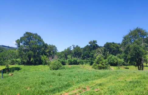 Área Rural C/ 15 Hec - Medianeira / Pr, localizado em Medianeira - PR
