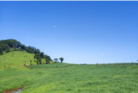 Área Rural C/ 15 Hec - Medianeira / Pr, localizado em Medianeira - PR