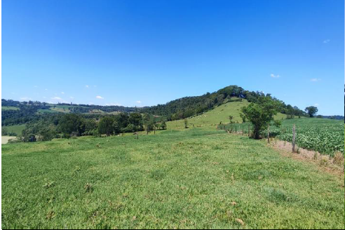 Área Rural C/ 15 Hec - Medianeira / Pr, localizado em Medianeira - PR